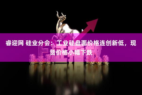 睿迎网 硅业分会：工业硅盘面价格连创新低，现货价格小幅下跌