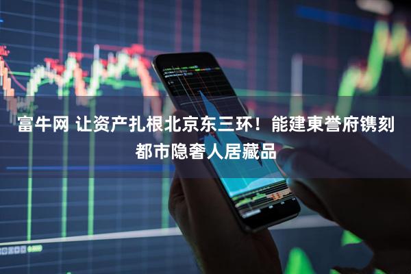 富牛网 让资产扎根北京东三环！能建東誉府镌刻都市隐奢人居藏品