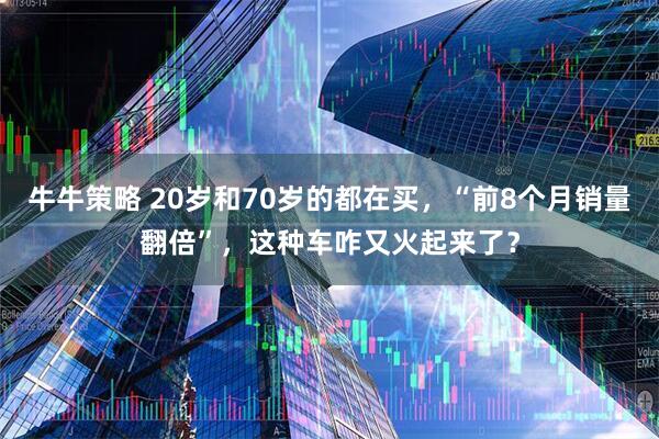 牛牛策略 20岁和70岁的都在买，“前8个月销量翻倍”，这种车咋又火起来了？