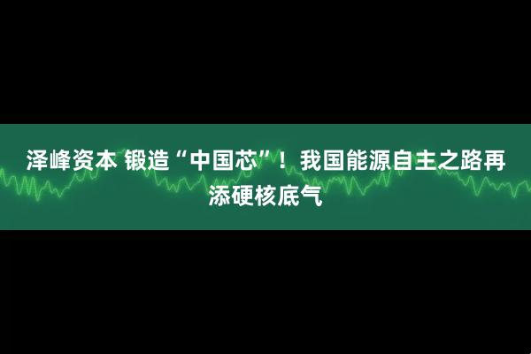 泽峰资本 锻造“中国芯”！我国能源自主之路再添硬核底气